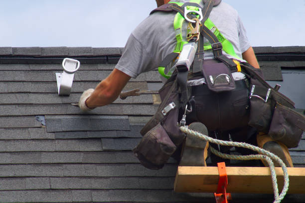 Best Metal Roofing Contractor  in Hilbert, WI