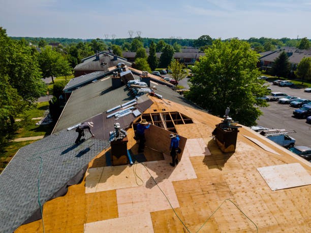 Best Commercial Roofing Services  in Hilbert, WI