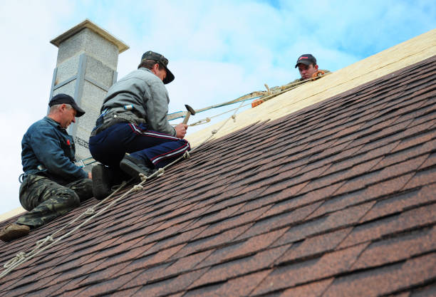 Professional Roofing Contractor in Hilbert, WI