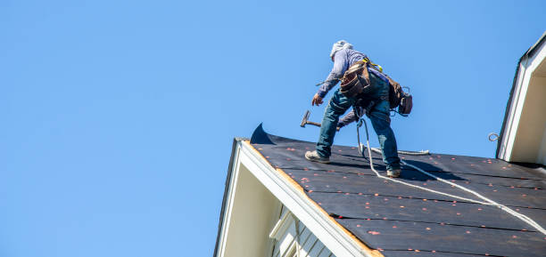 Best Roof Maintenance Services  in Hilbert, WI